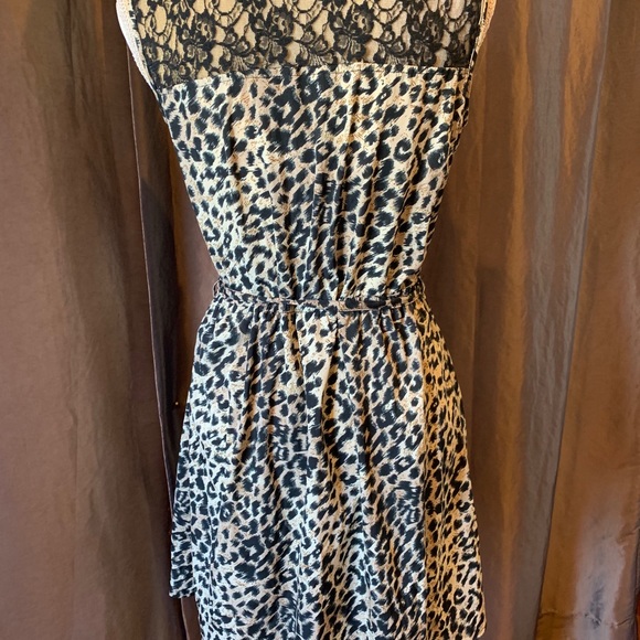 Leopard & lace dress - Picture 2 of 7
